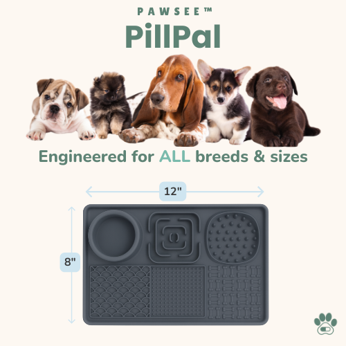 PillPal™